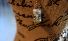 Load image into Gallery viewer, Dream Charlotte