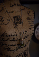 Load image into Gallery viewer, Charlotte’s Garden