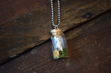 Load image into Gallery viewer, Charlotte’s Garden