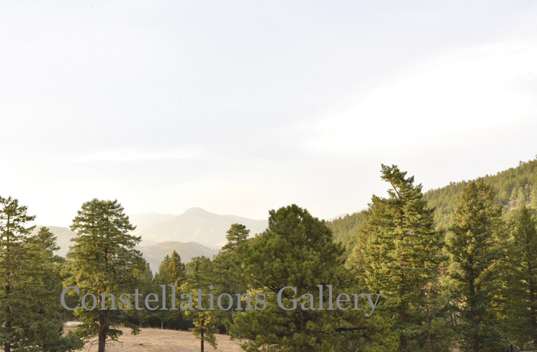 Appreciate Fleeting Moments