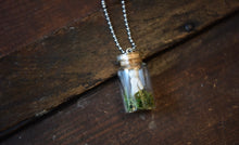 Load image into Gallery viewer, Charlotte’s Garden
