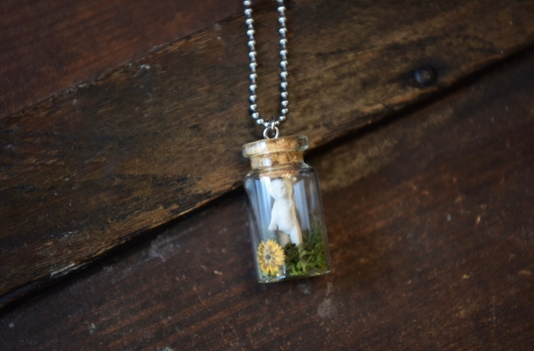 Charlotte’s Garden